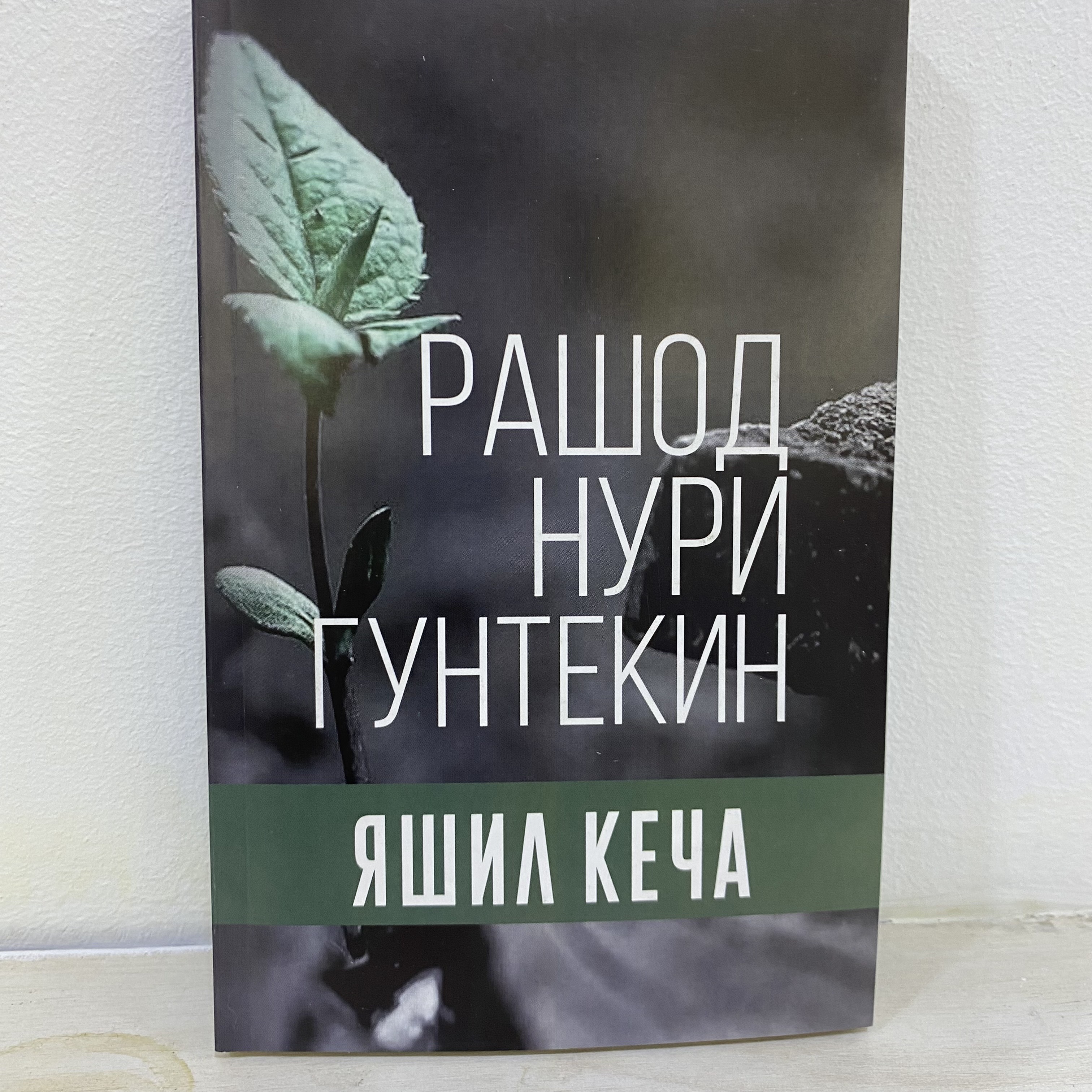 Yashil kecha