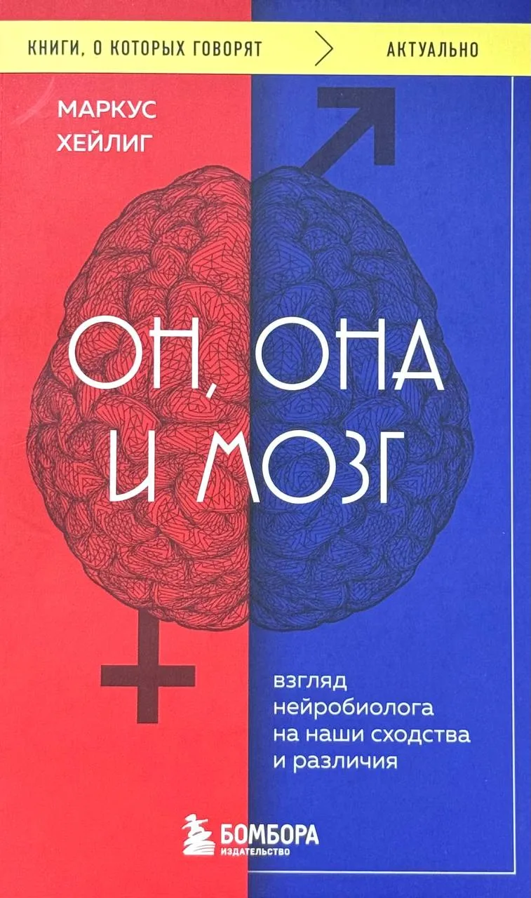 Он, она и мозг