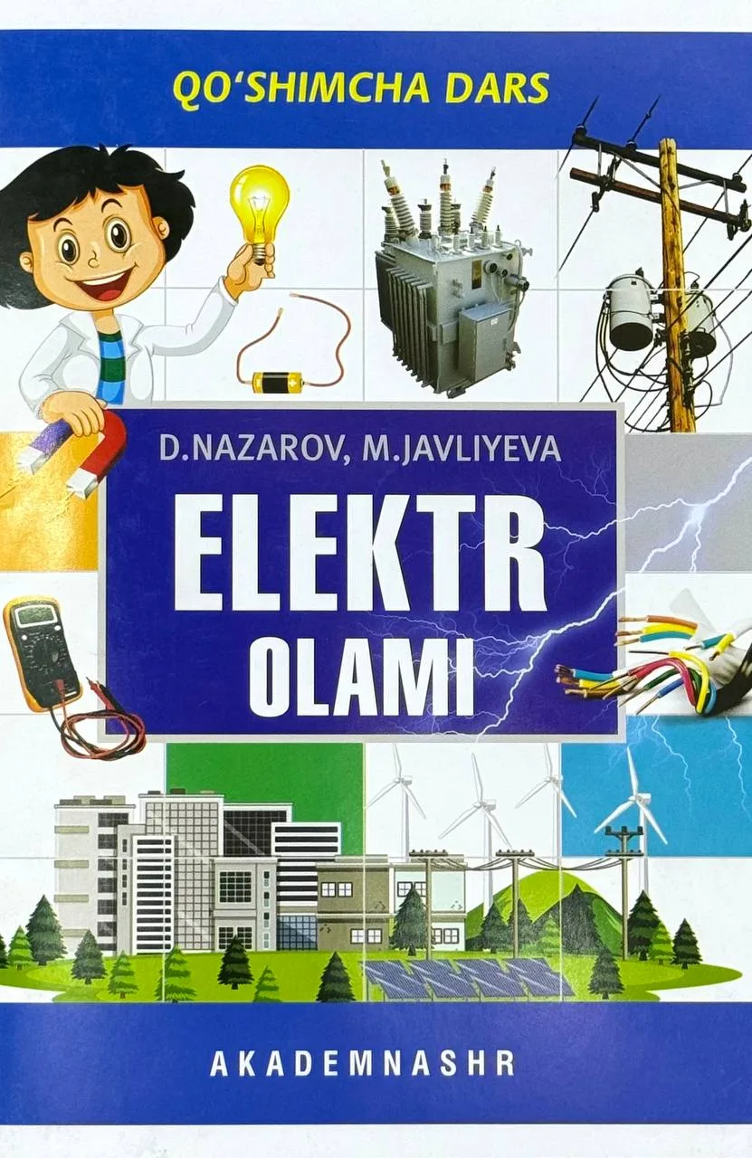 Elektr olami