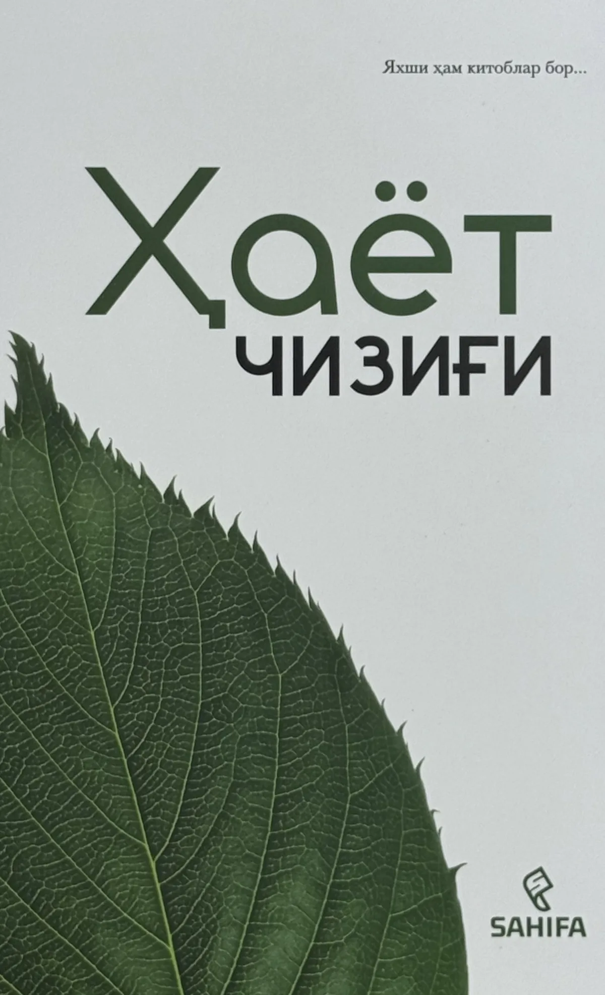 Hayot chizig'i