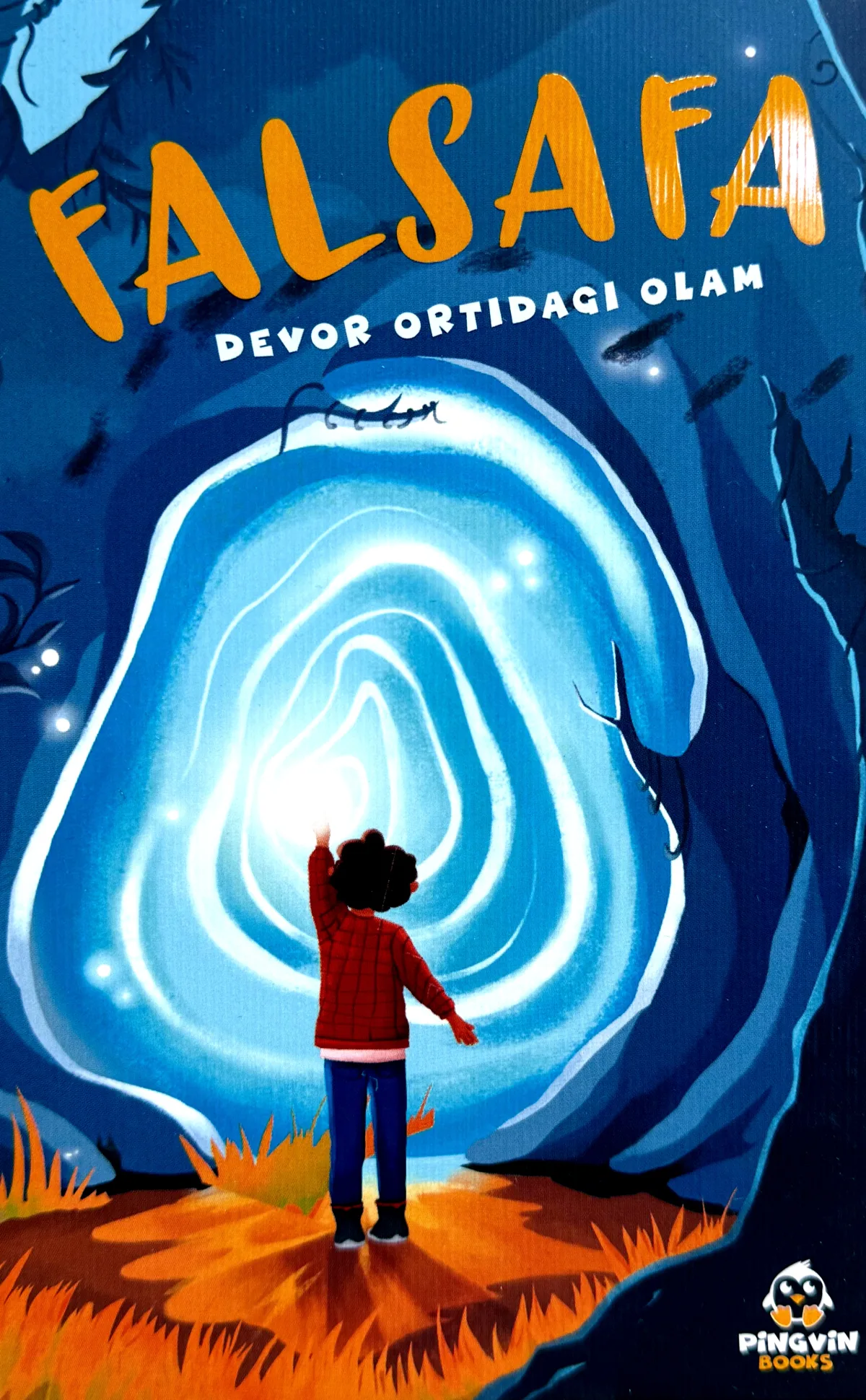 Devor ortidagi olam (Falsafa)