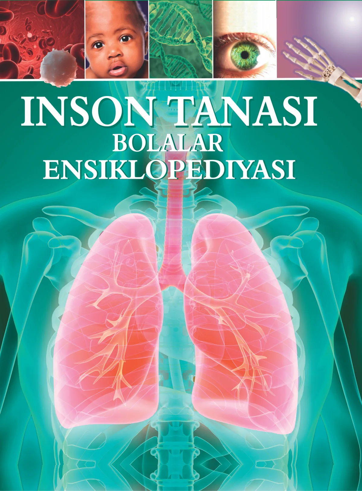 Inson tanasi bolalar ensiklopediyasi