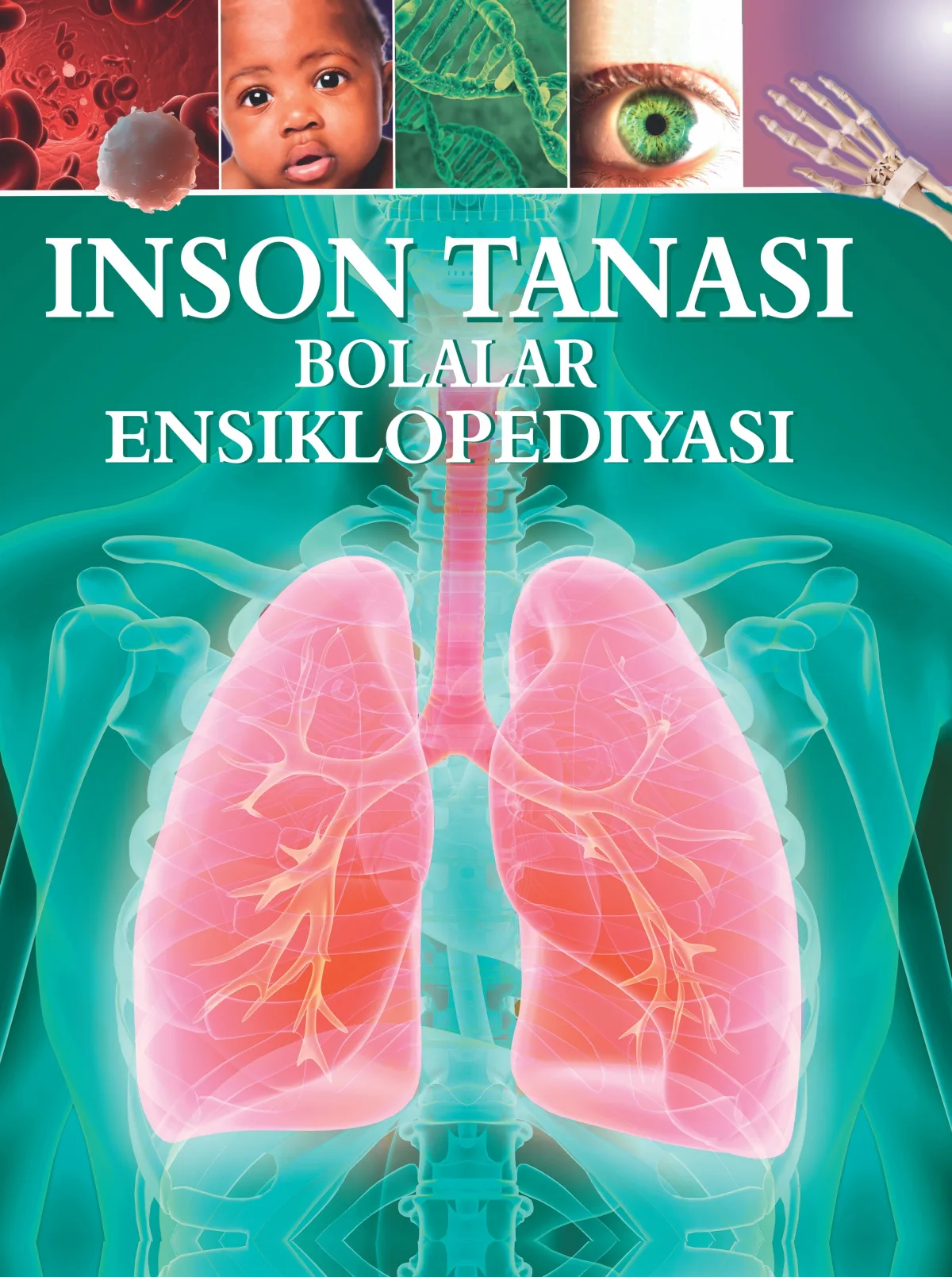Inson tanasi. Bolalar ensiklopediyasi
