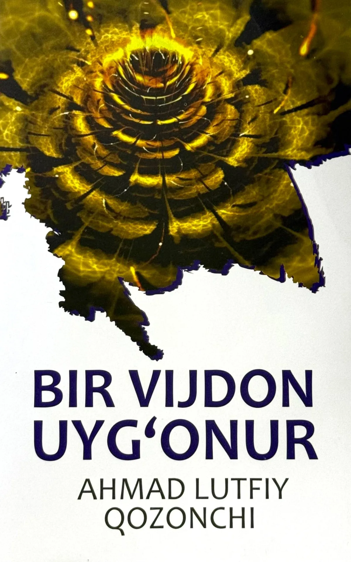 Bir vijdon uyg'onur