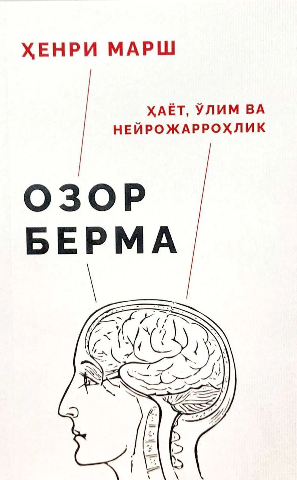 Ozor berma