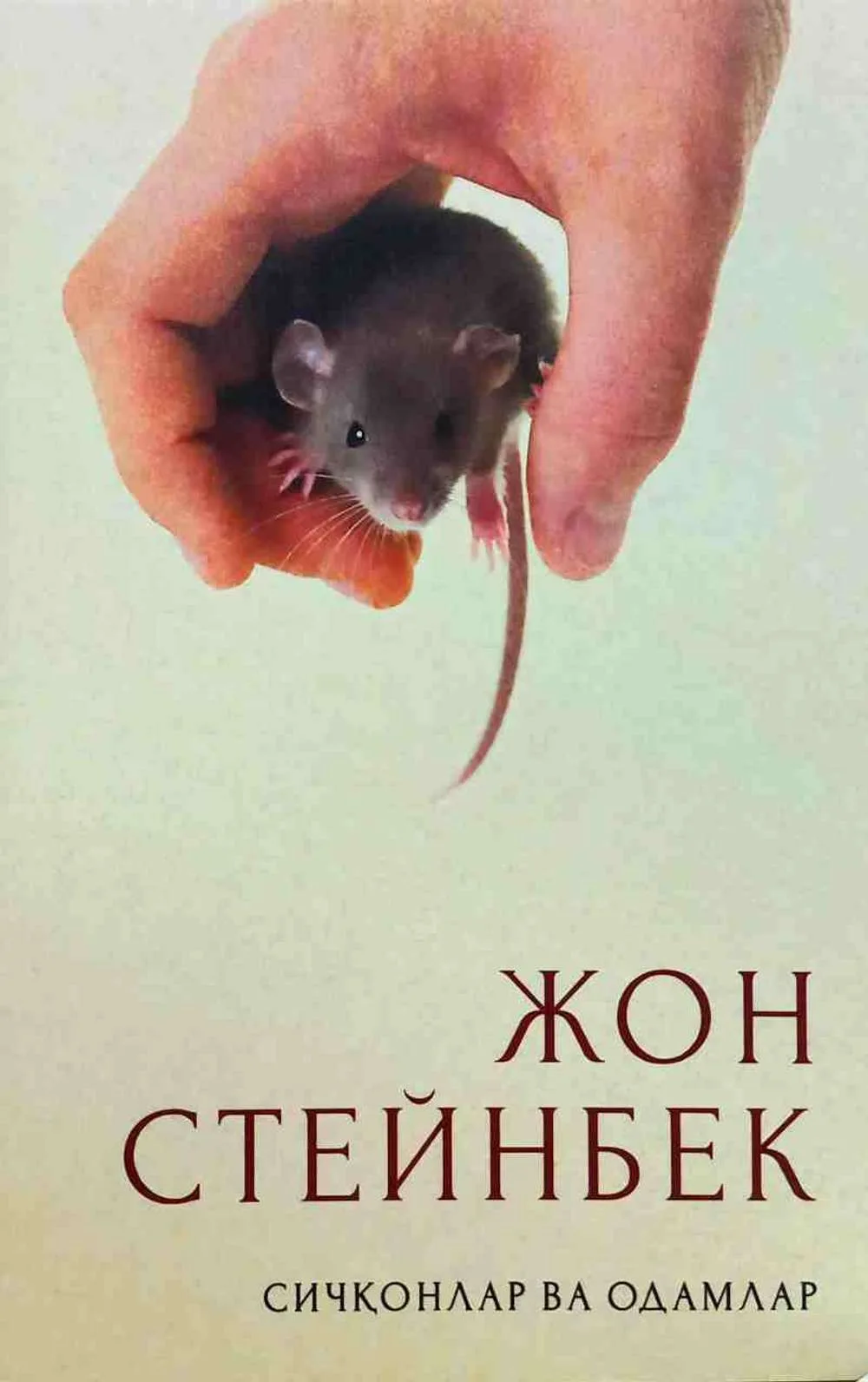 Sichqonlar va odamlar